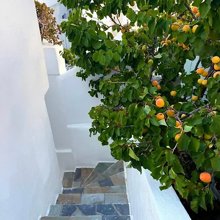 Nodo Boutique Mykonos Town